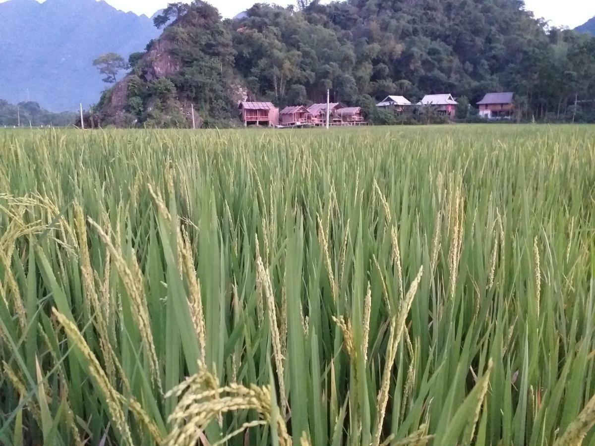 Little Mai Chau Home Stay Экстерьер фото